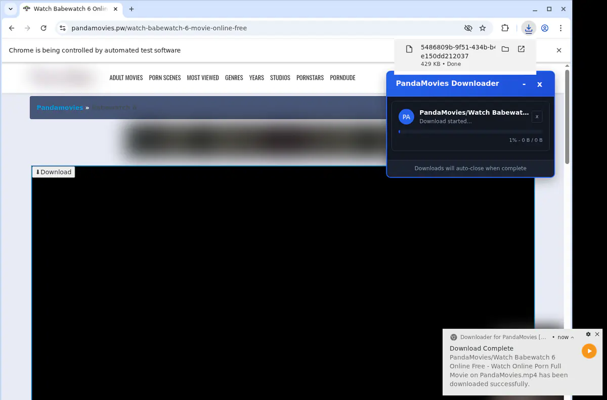 Pandamovies Video Downloader browser extension screenshot 2