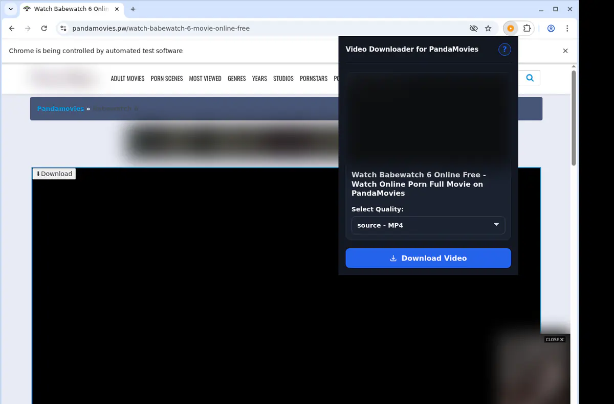 Pandamovies Video Downloader browser extension screenshot 3