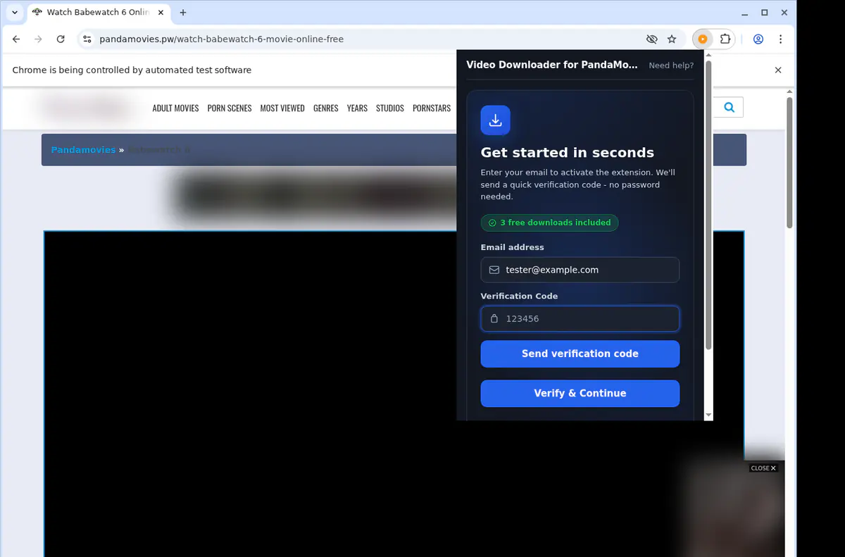 Pandamovies Video Downloader browser extension screenshot 4